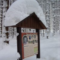 IMGP2183
