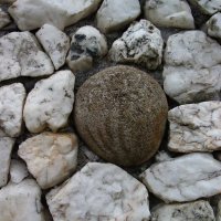 newgrange_detail_fasady