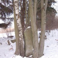 Veletín